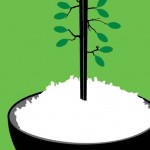 Issue Poster